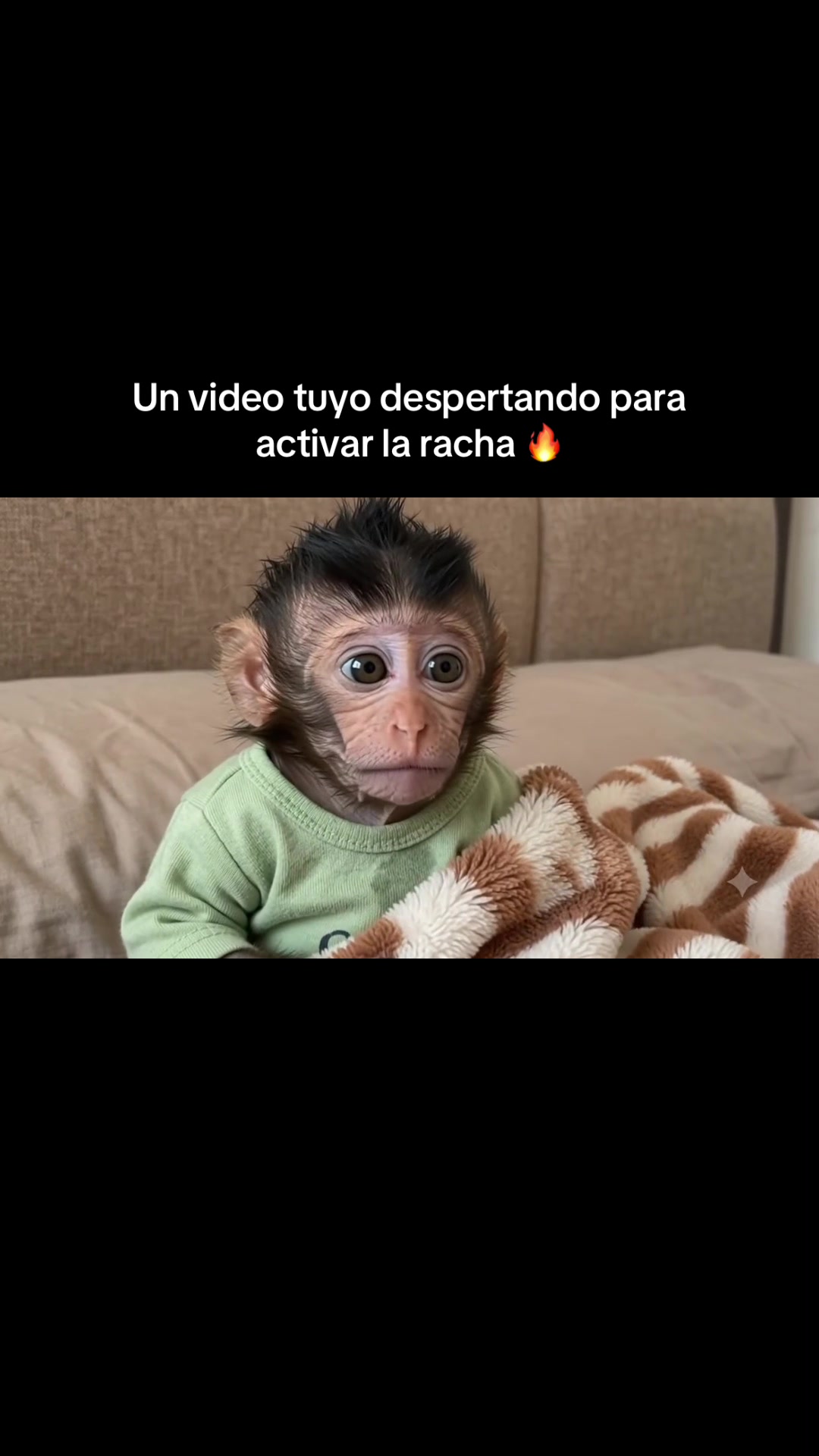 @RabPesito 🔥