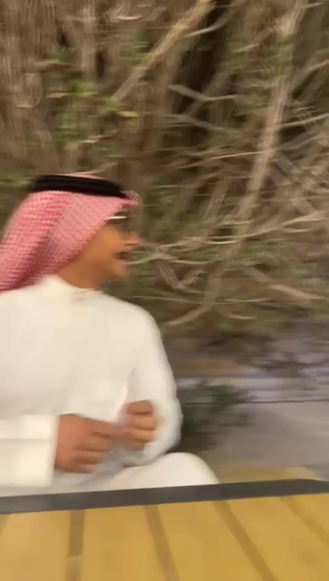 @عبد العزيز بن سلمان