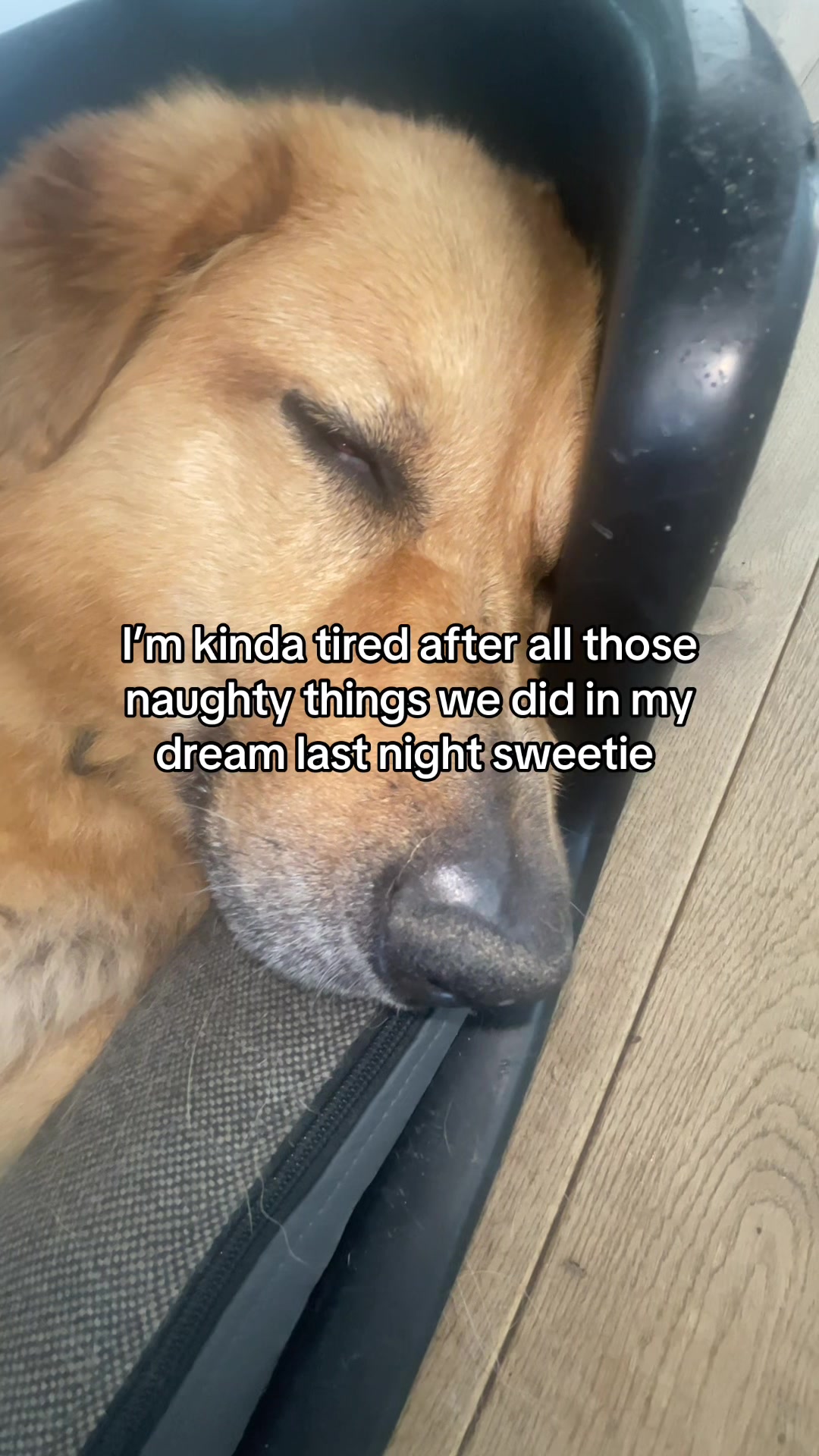 @Neo