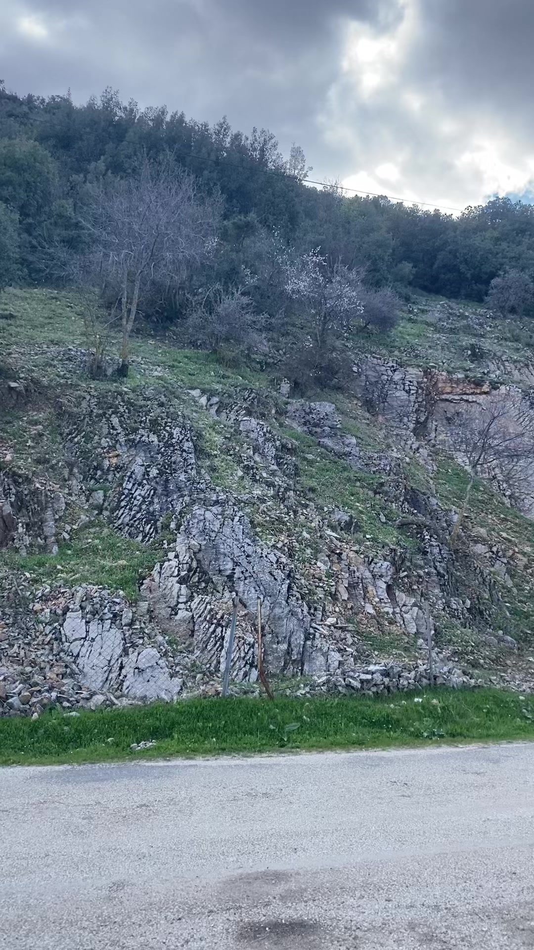 @Musa C&uuml;l&uuml;