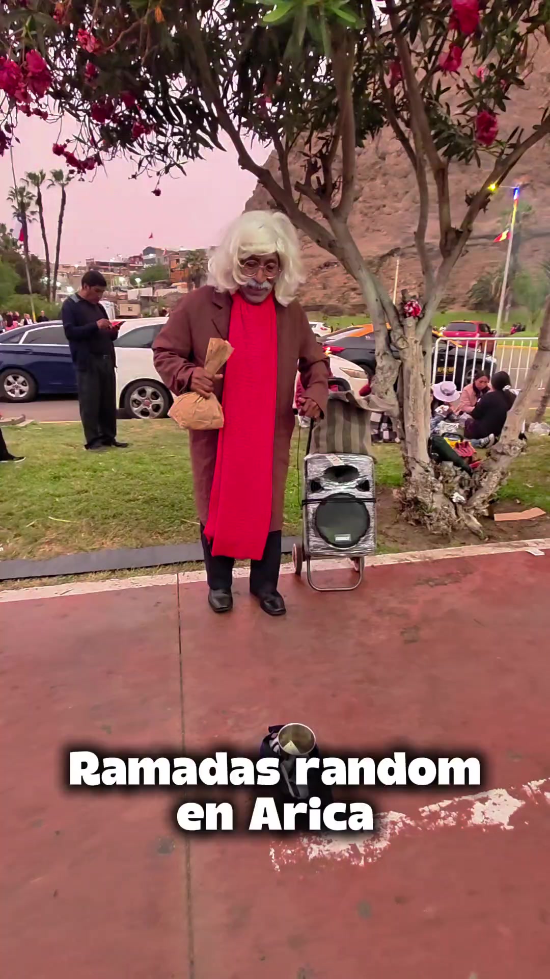 @Arica es Bacán