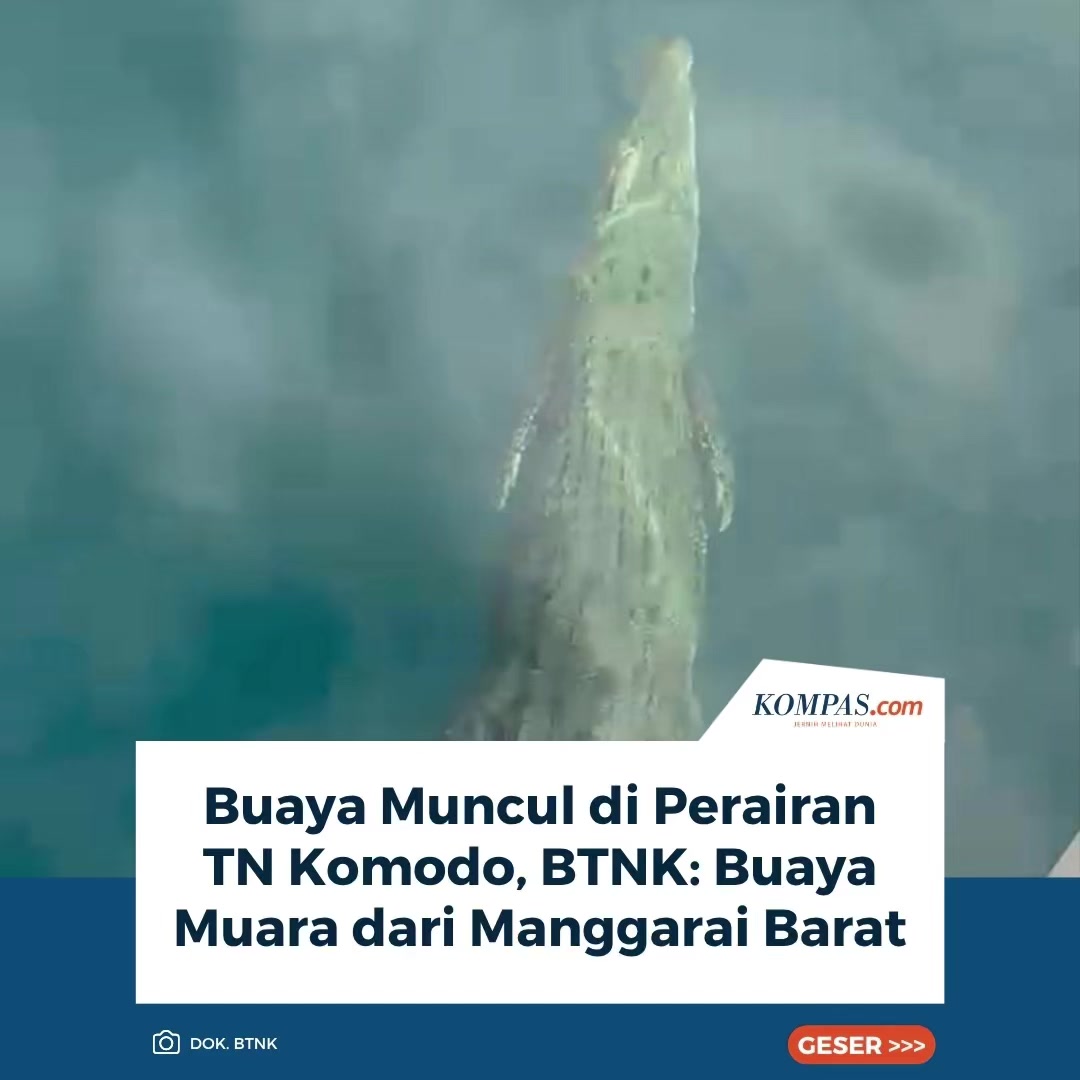@Kompas.com