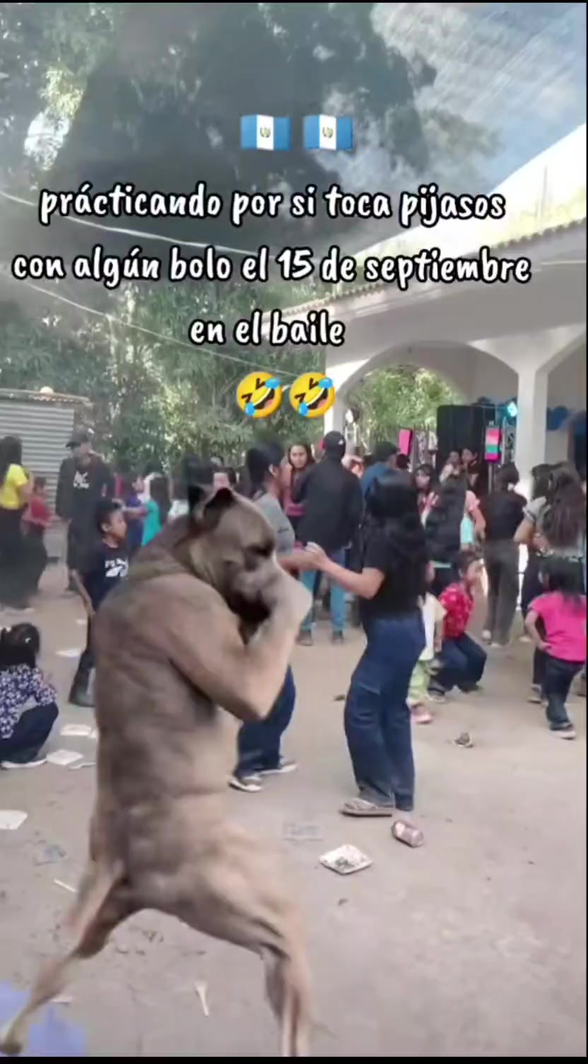 @Tiulito