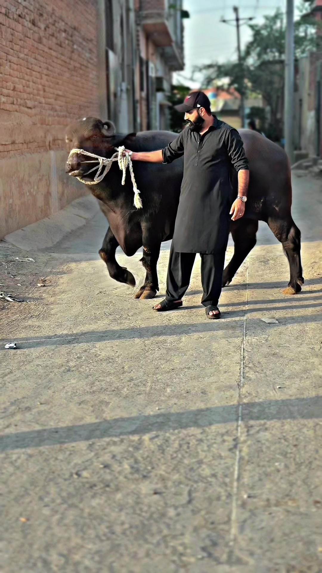 @⚡️ذیشان طارق باجوہ⚡️