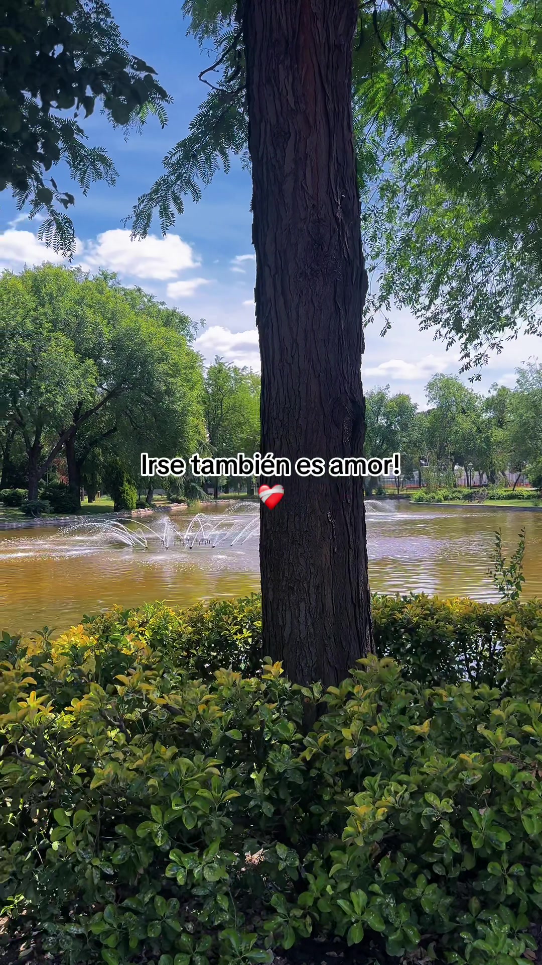 @🌺 𝓘𝓿𝓪𝓷𝓬𝓪 🌺