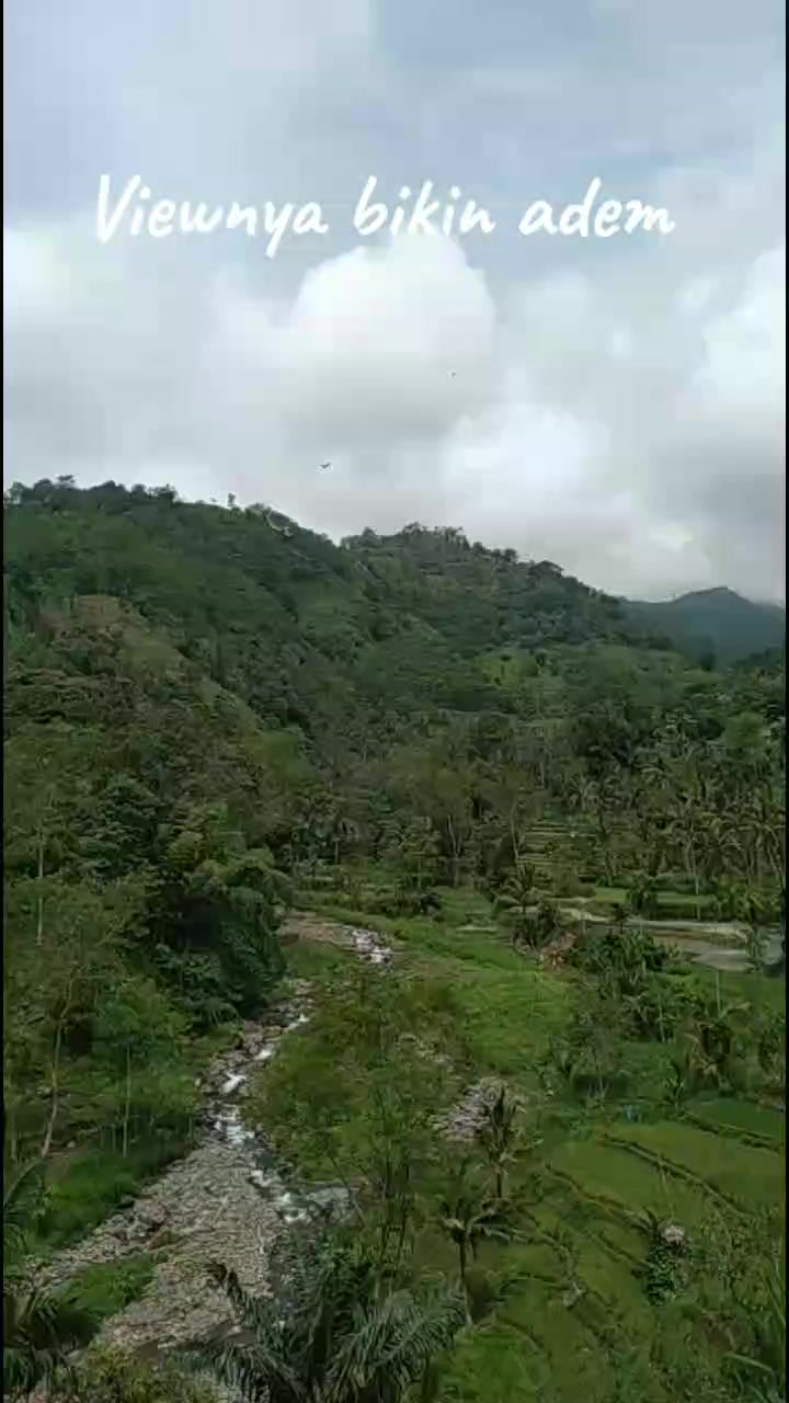 @Bang Narto