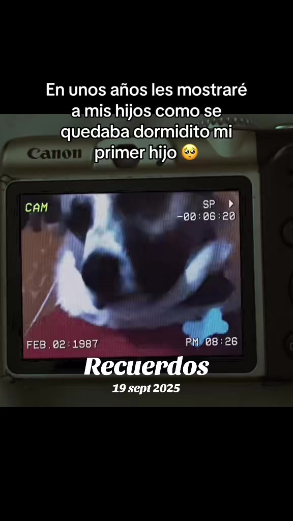 @Pachecomentando