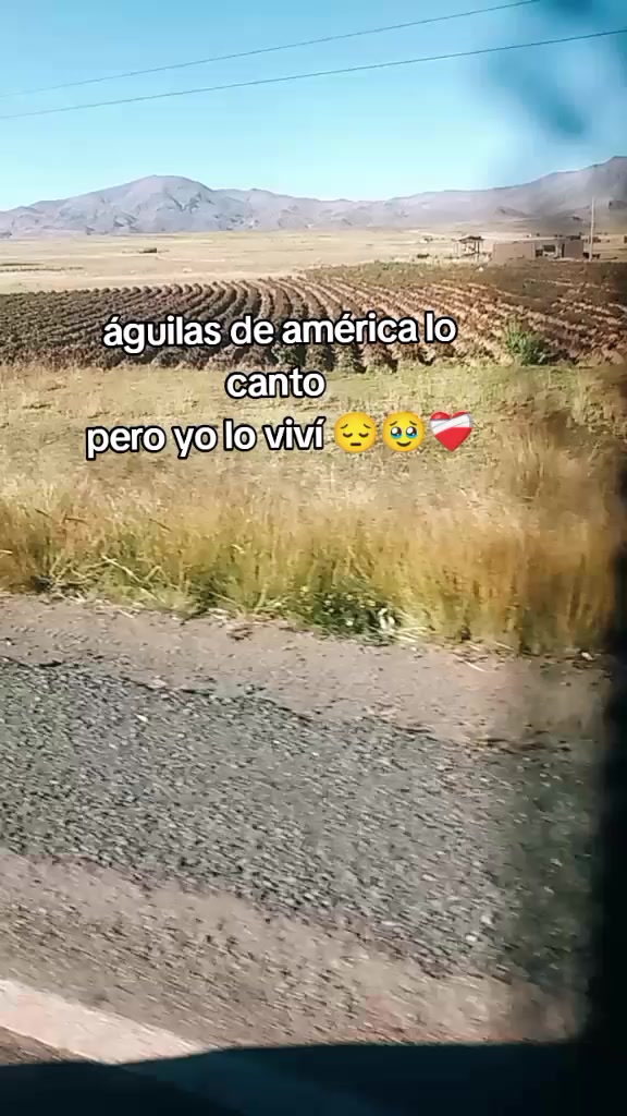 @Emy Quiroga