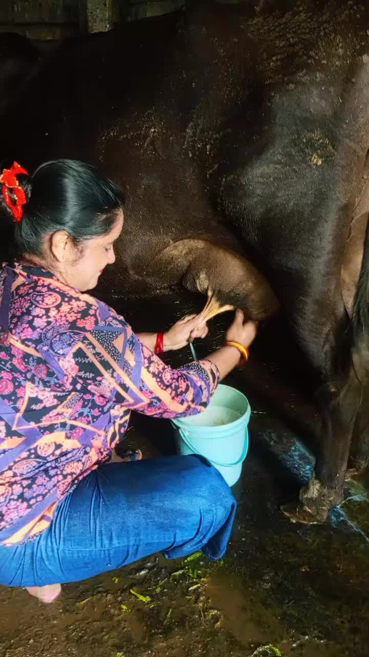 @Bhimabhandari57