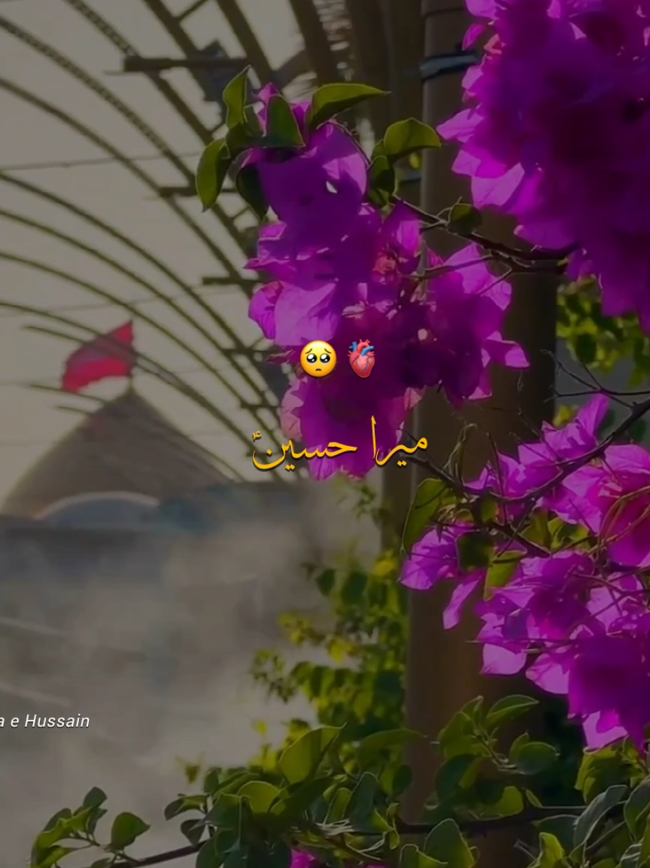 @𝑭𝒊𝒅𝒂 𝒆 𝑯𝒖𝒔𝒔𝒂𝒊𝒏