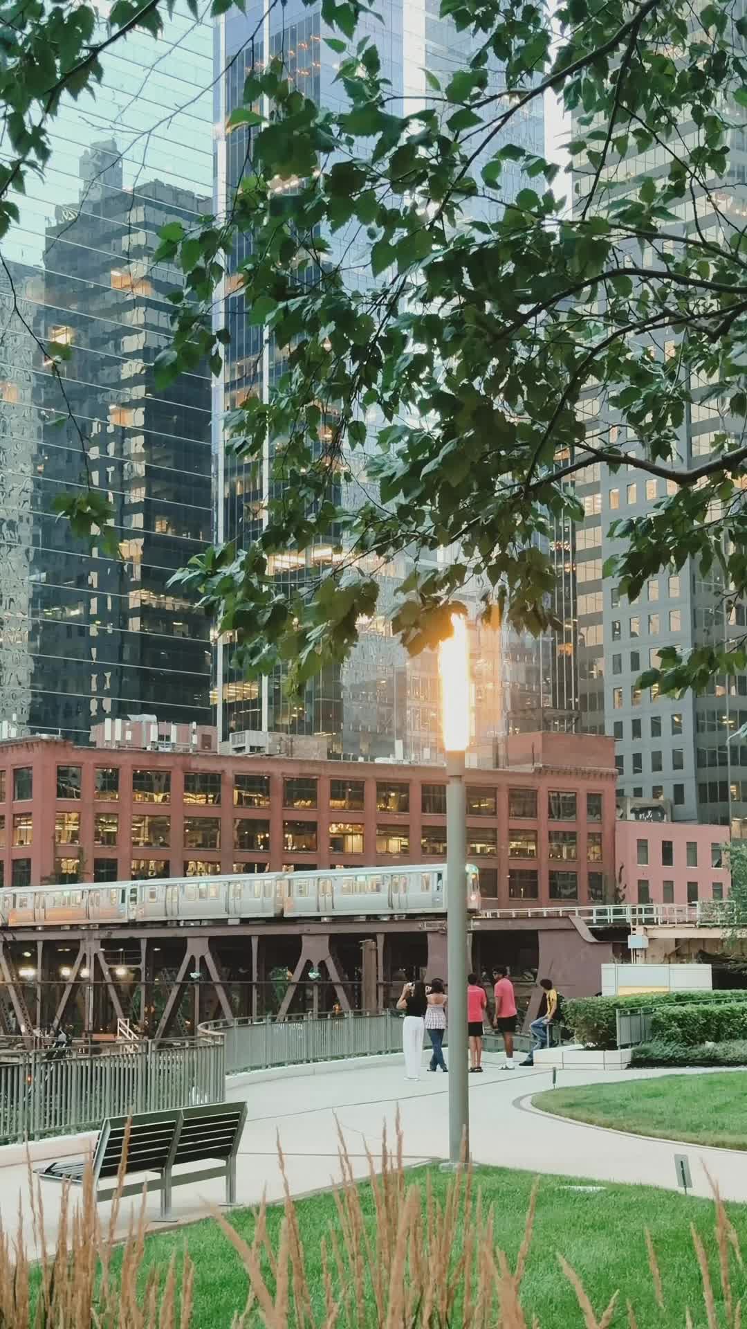 @Maida | Chicago Creator