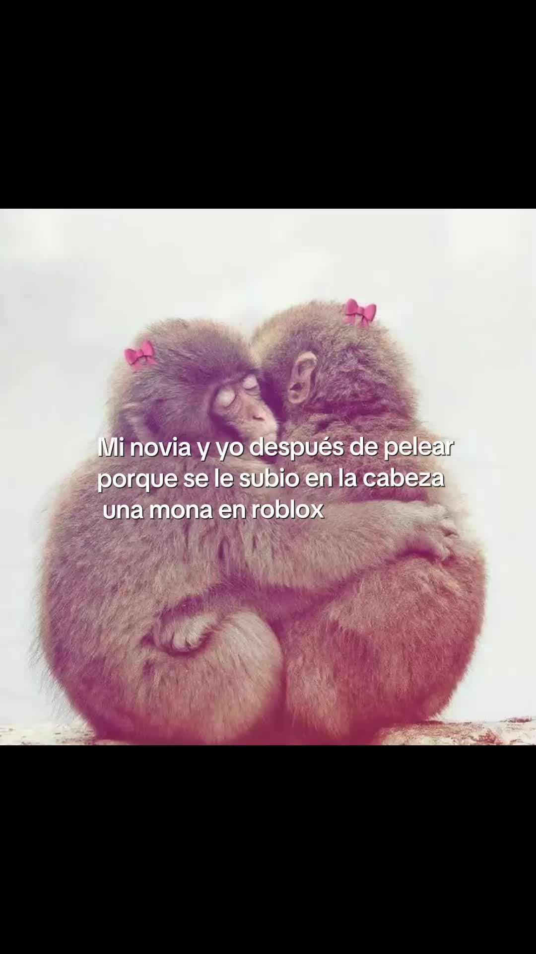 @𝒮𝓁𝓋𝓈𝓔
