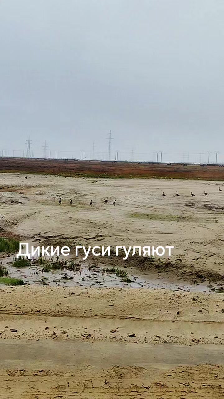 @Александр