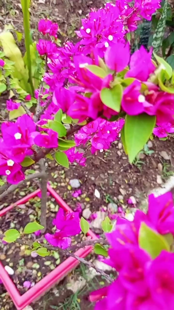 @N~~~~~
