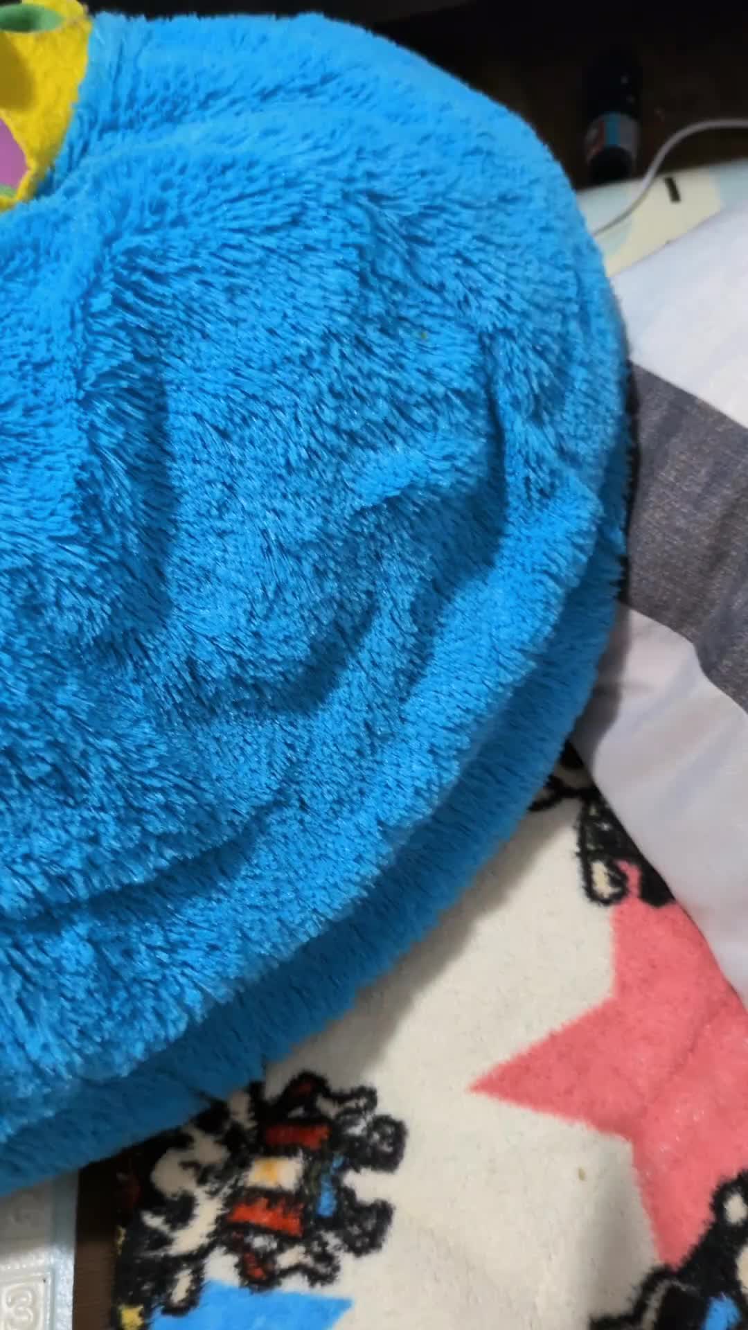 @らむね🐶