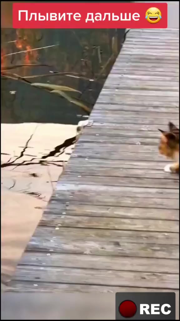 @Лариса