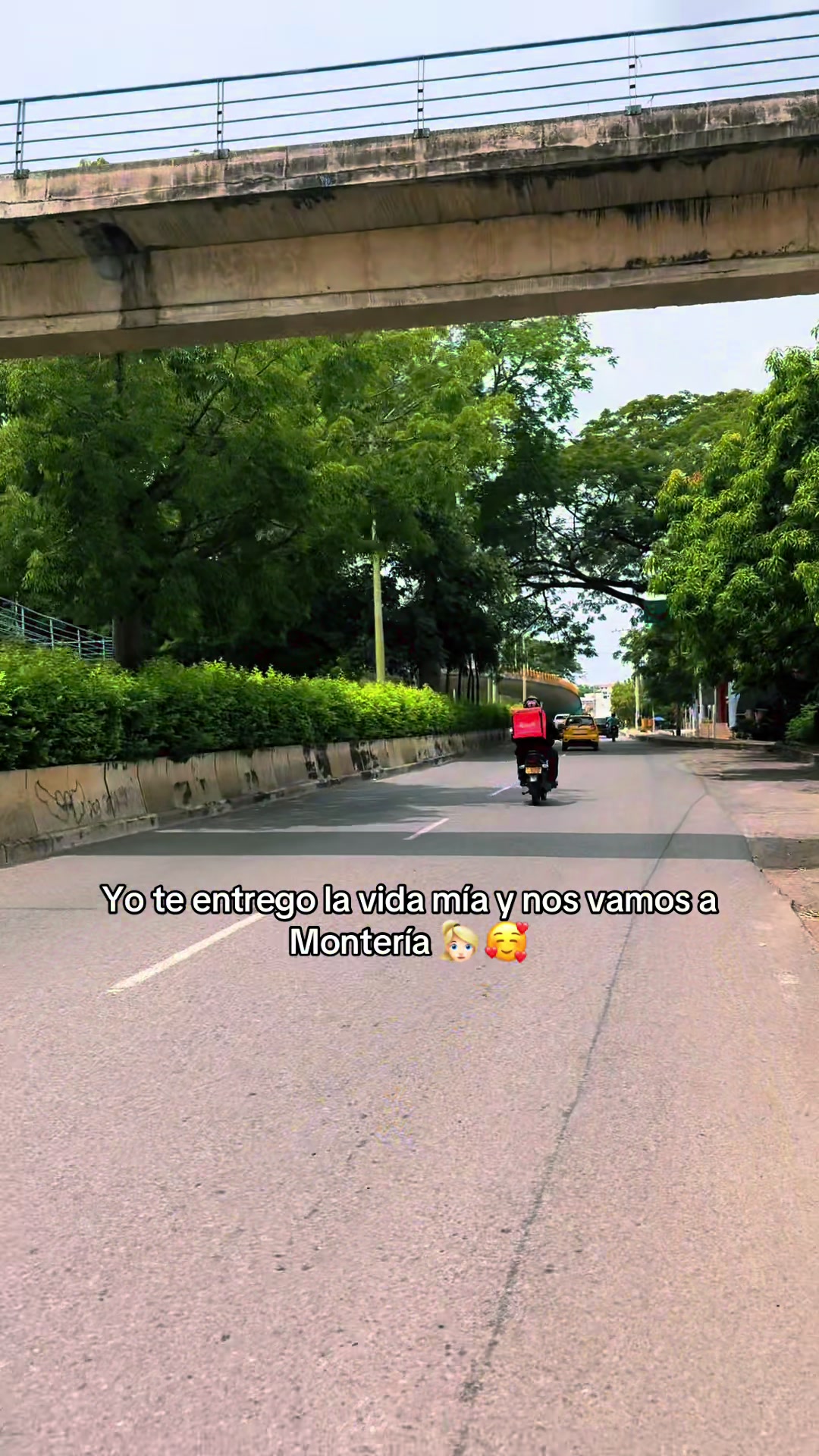 @EiverBaqueroContenidos