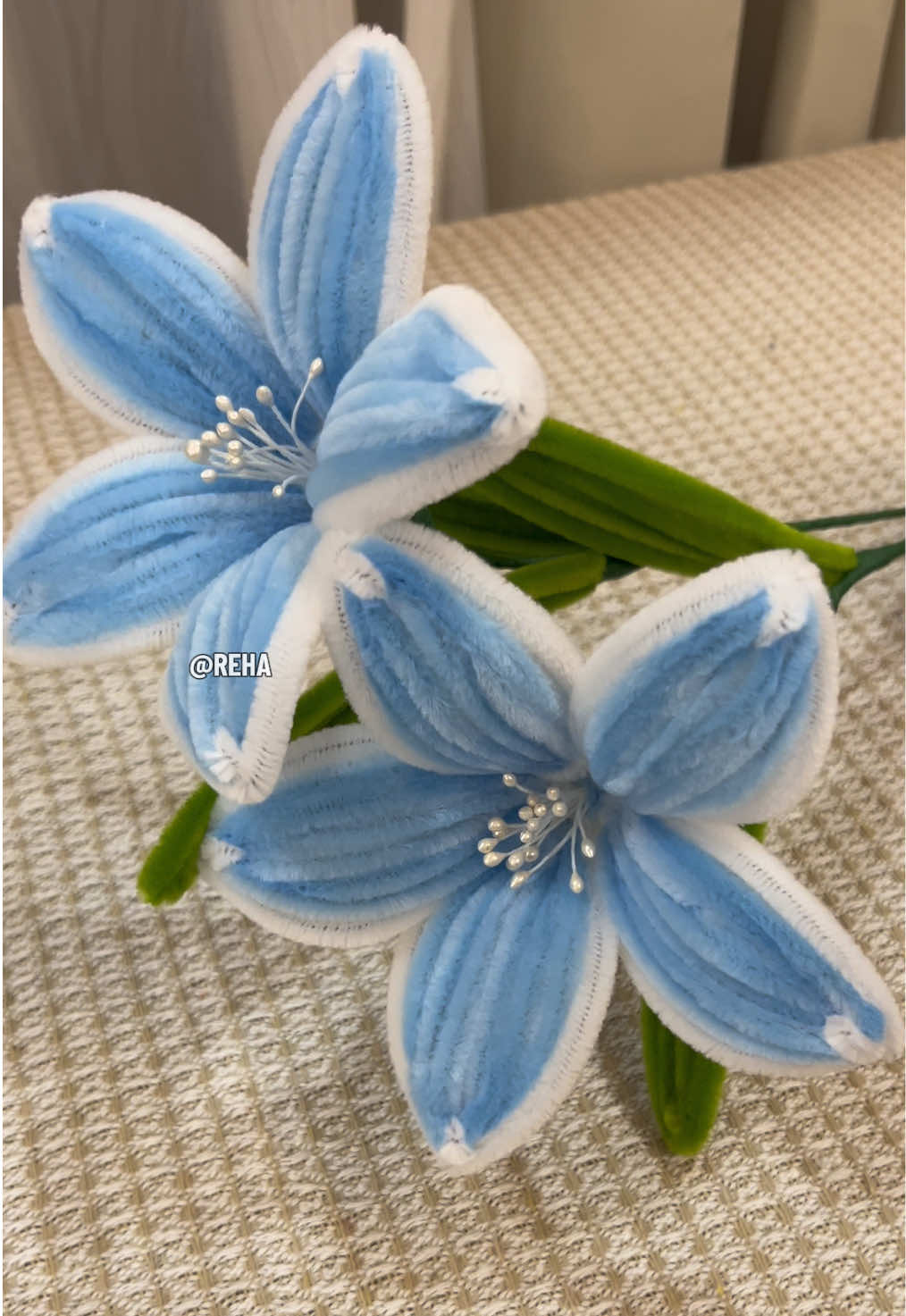 @Reha