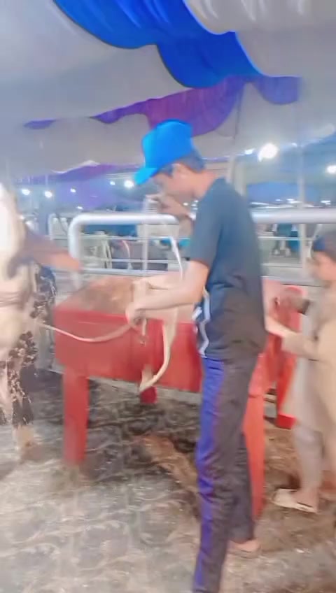 @HK vlog