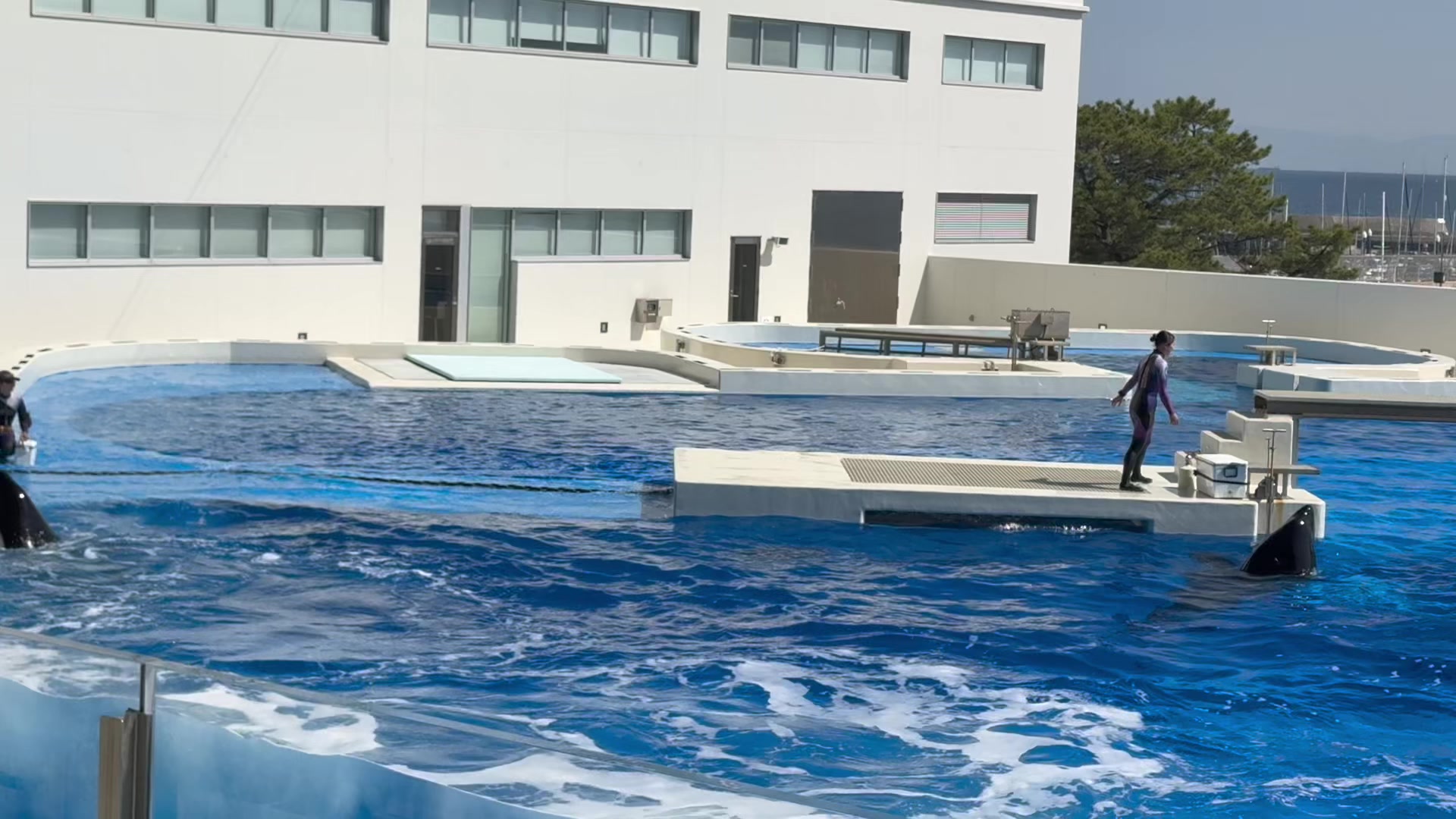 @りっくん_orca134
