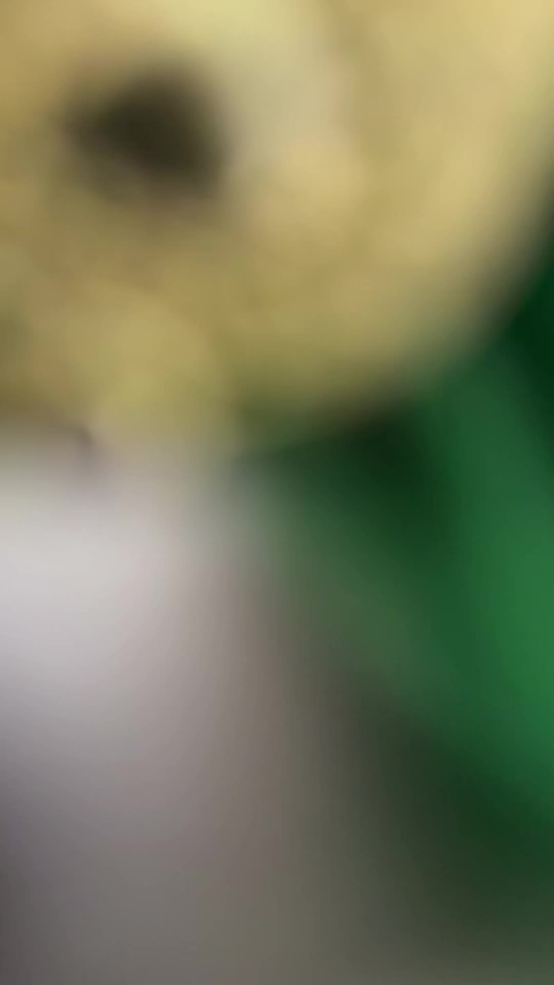 @Sabrina