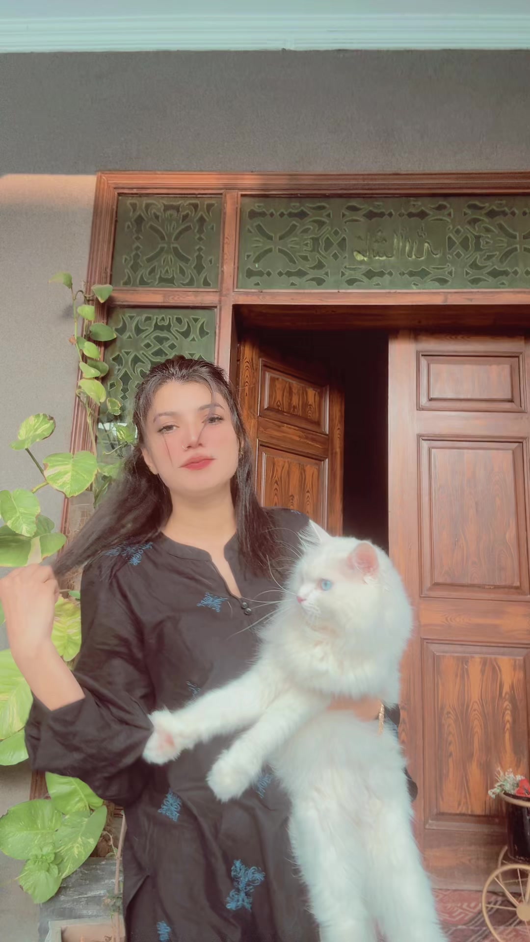 @Ayesha Jutt ❤️🩷