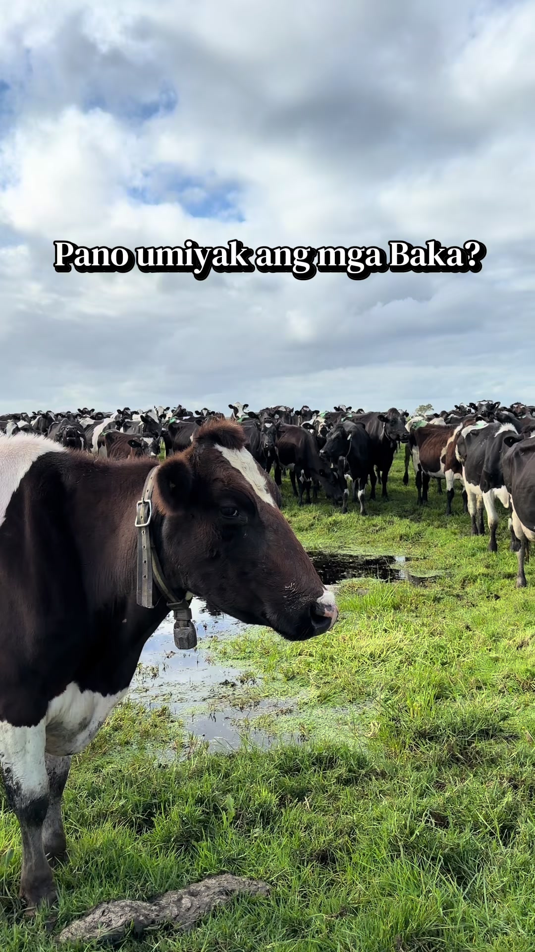 @Baka Chixx๐ต๐ญ๐ฏ๐ต๐ฆ๐บ