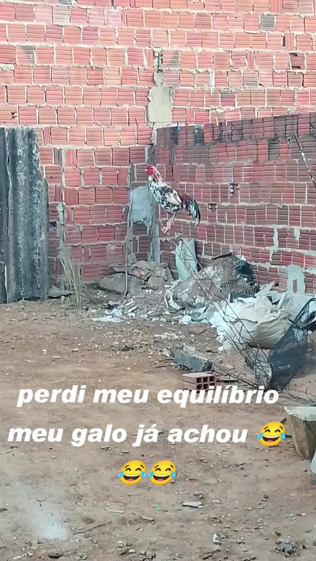 @✨Baianinha 🦋