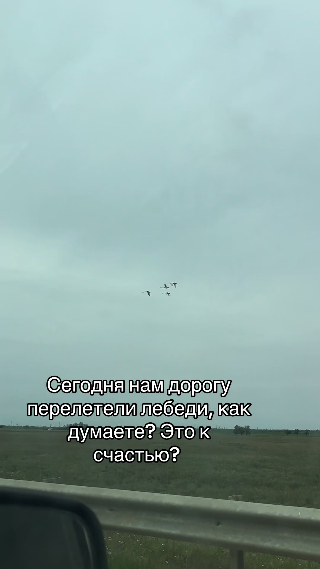 @Ольга Лосивская✅
