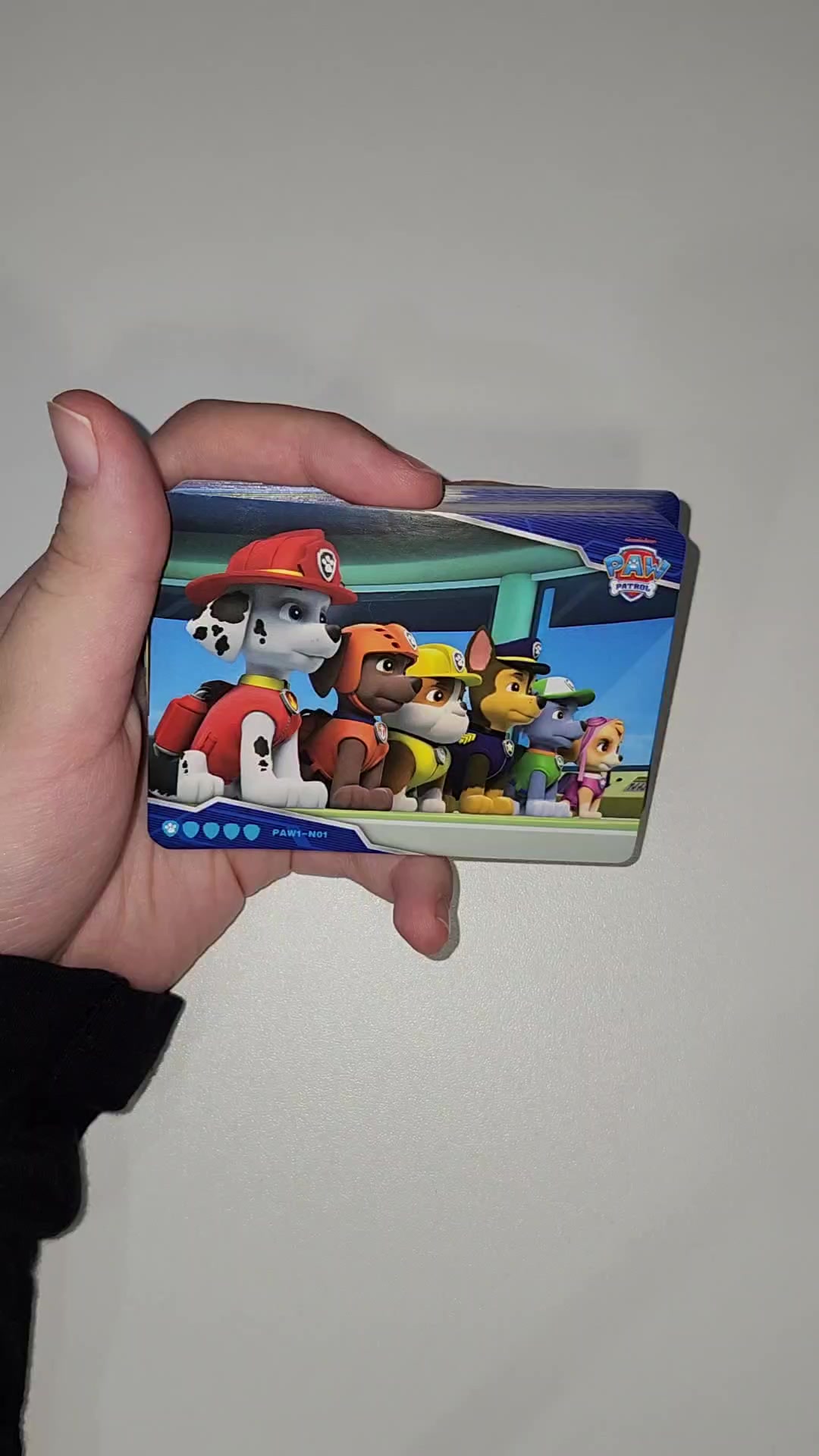 @Jester 🎭 (Paw Patrol No1 Fan)