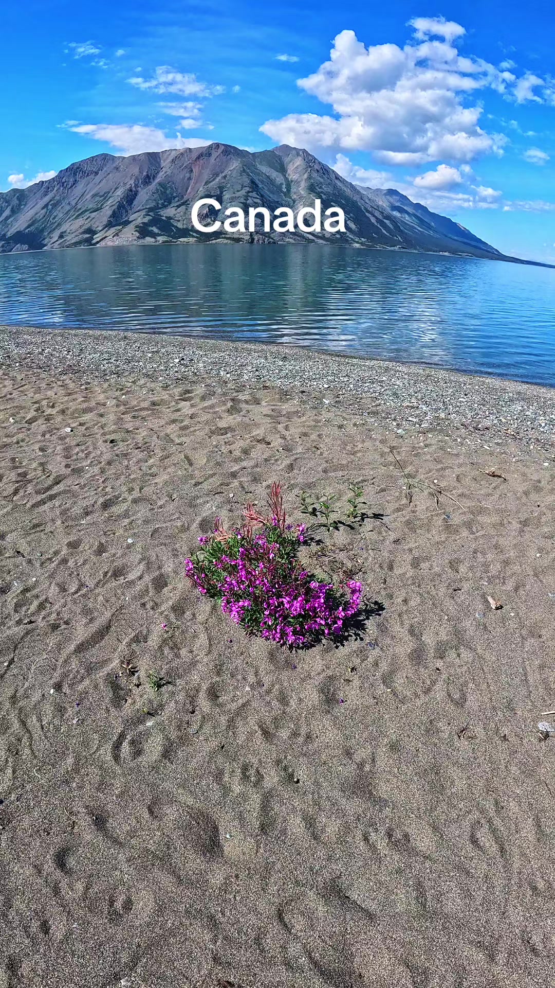 @Lost In Canada