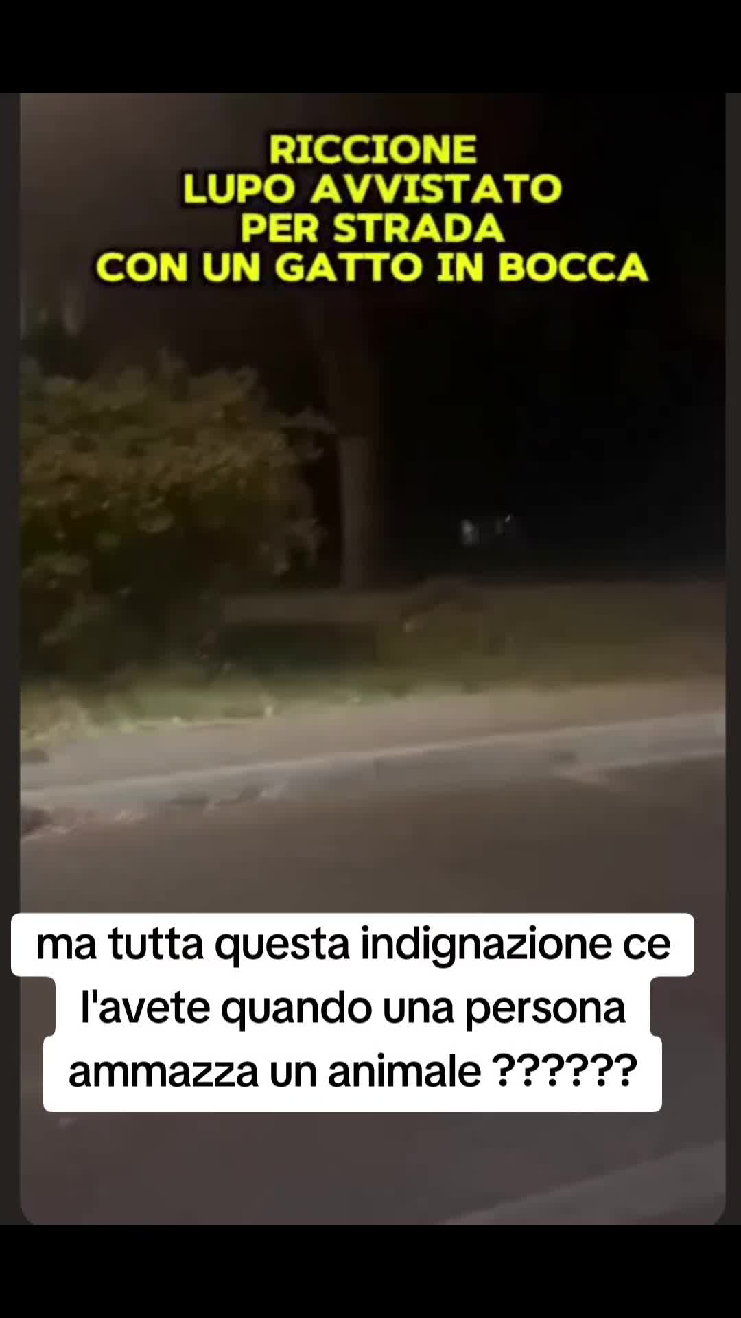 @Eleonora
