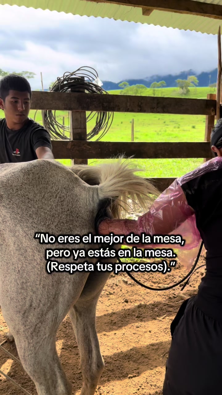 @Dra. Jessica Casas 👩🏻&zwj;⚕️🐴