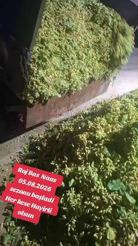 @urfali_botan_63