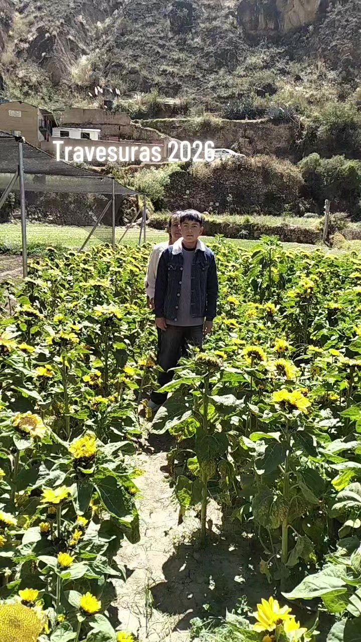 @Villanueva