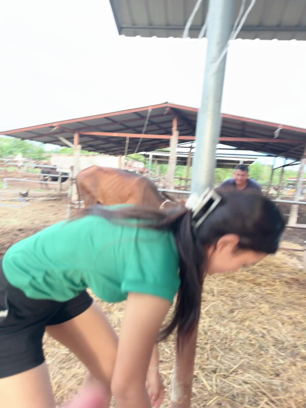 @KENGขายน้องวัว