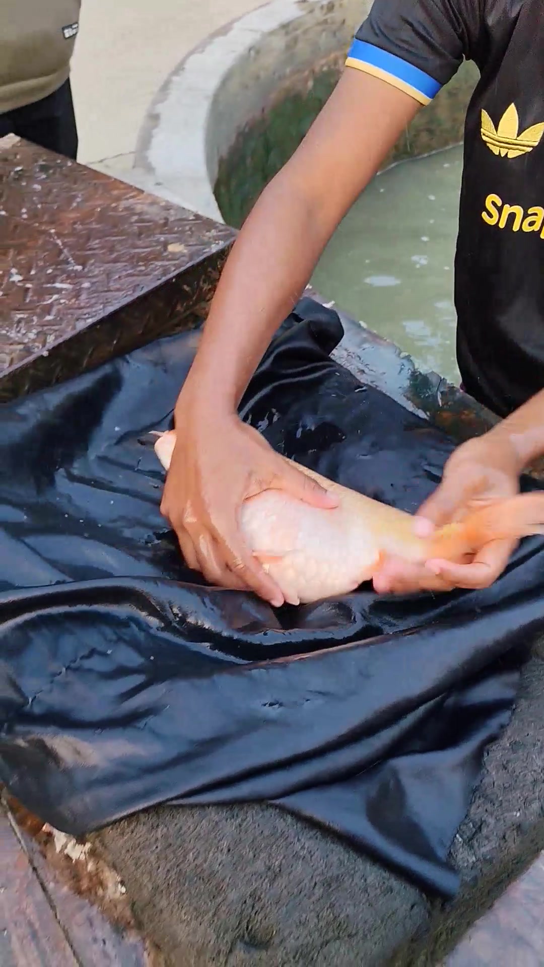 @Fish Lovers Bangladesh