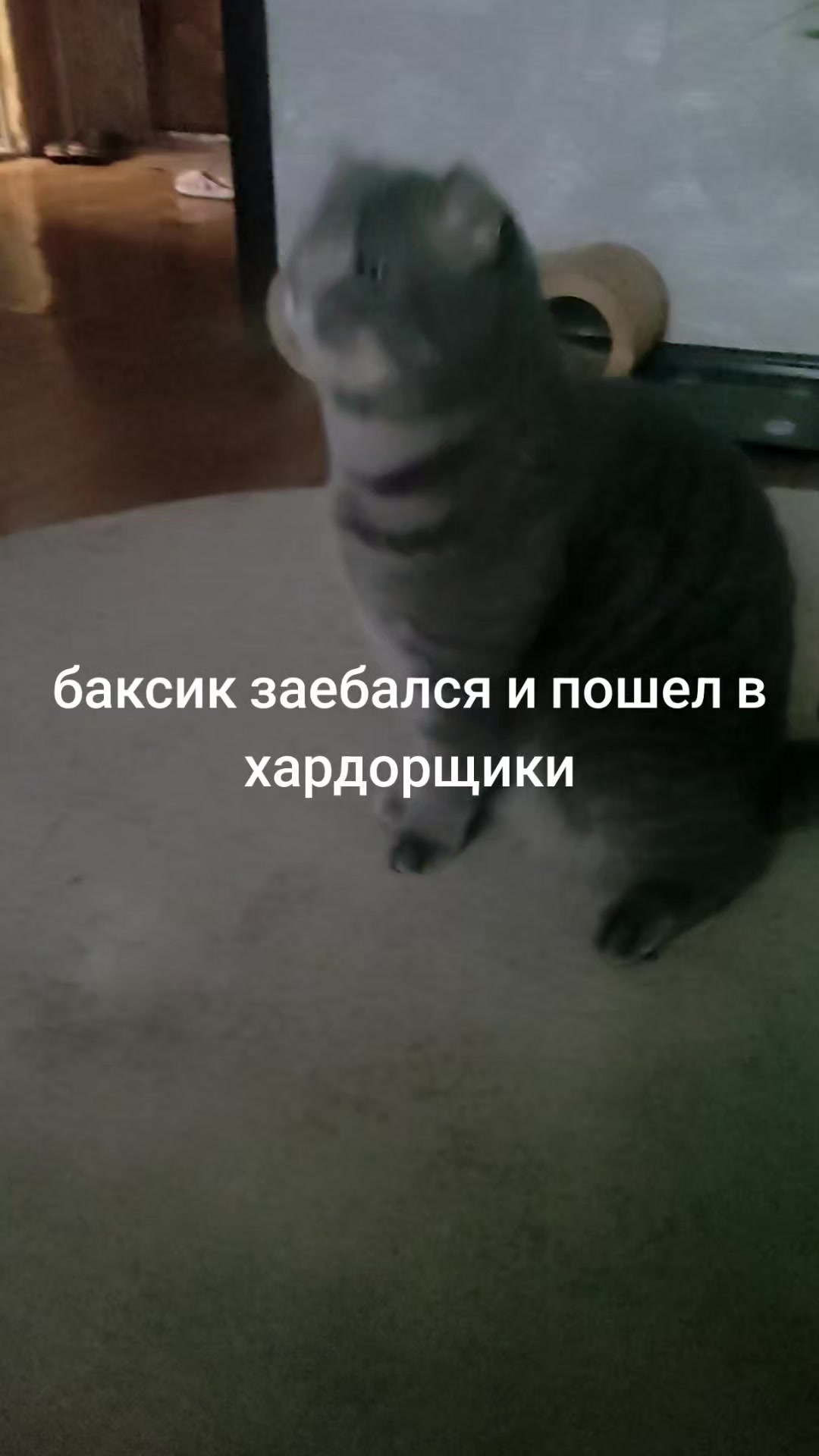 @Тоханский Сематерьев