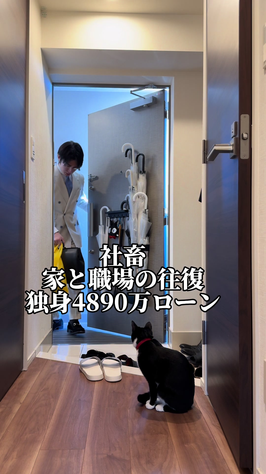 @手豆🐈&zwj;⬛🐈&zwj;⬛🐶🐶🌱🧑🏻&zwj;💼