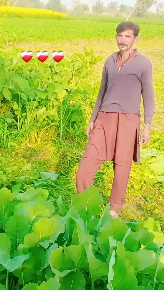 @M.Riaz. Dahar