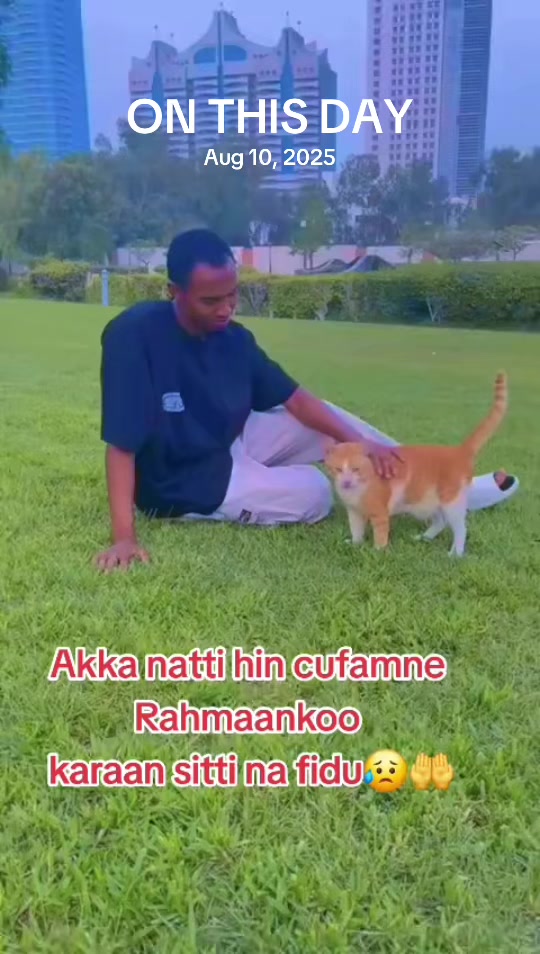 @Mohammed Alp