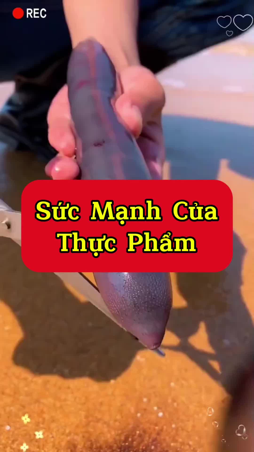 @TRÍ TUỆ CỔ XƯA OFFICIAL