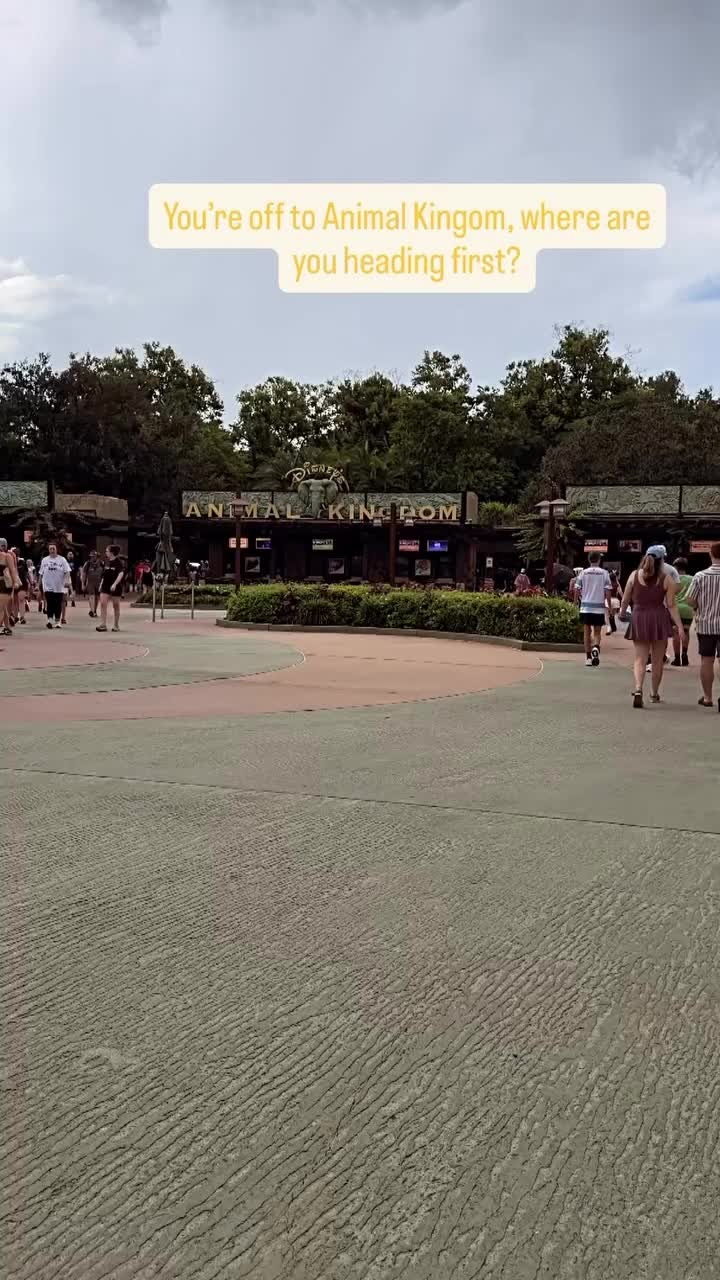 @Billy | Disney Dad Travels ๐ฐ