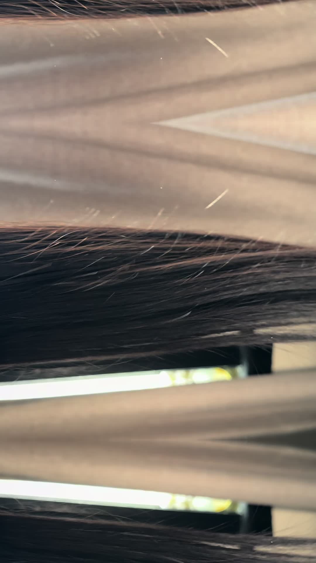 @LadyReeExtensionsllc