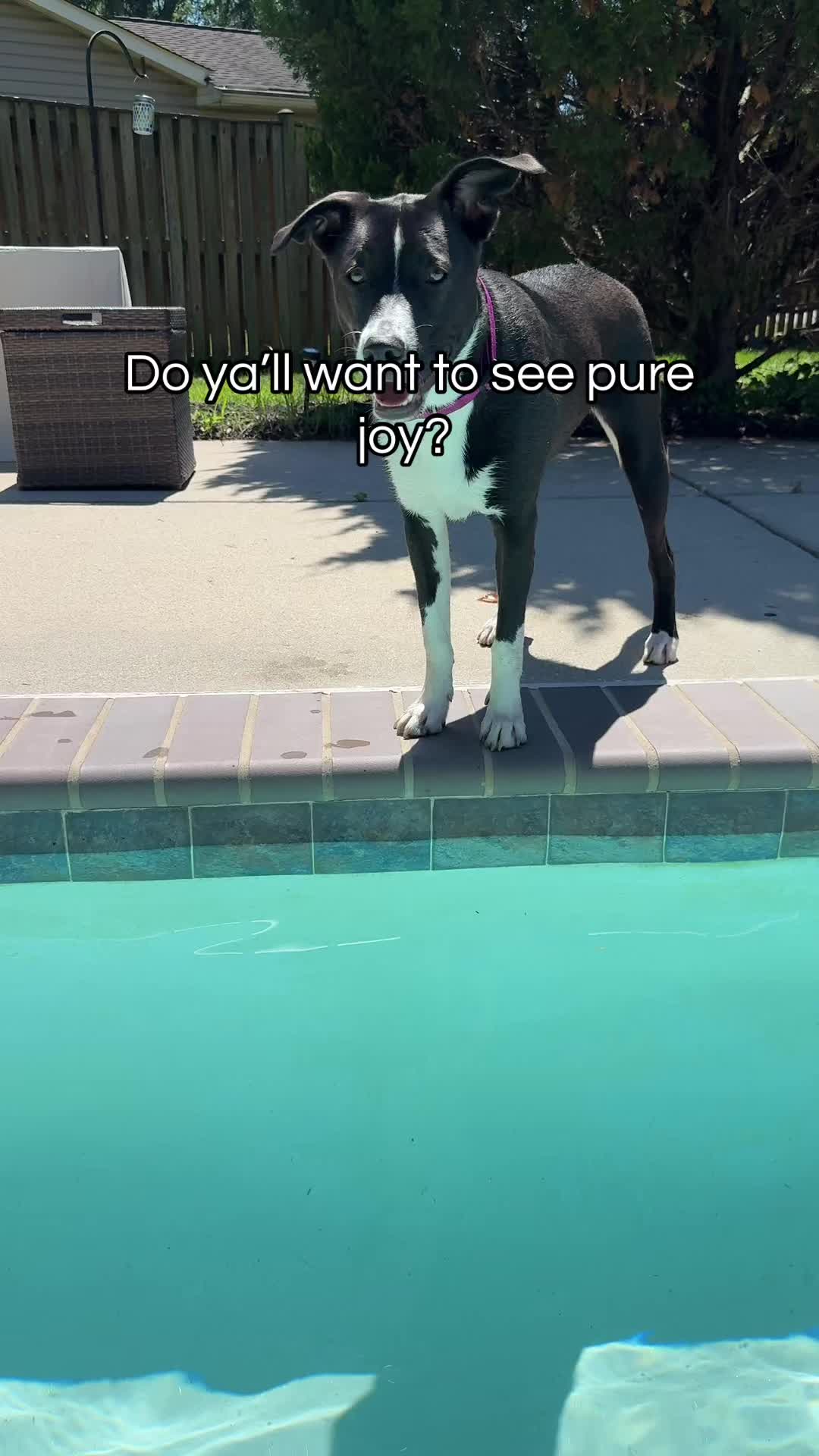 @ThatRNJenn