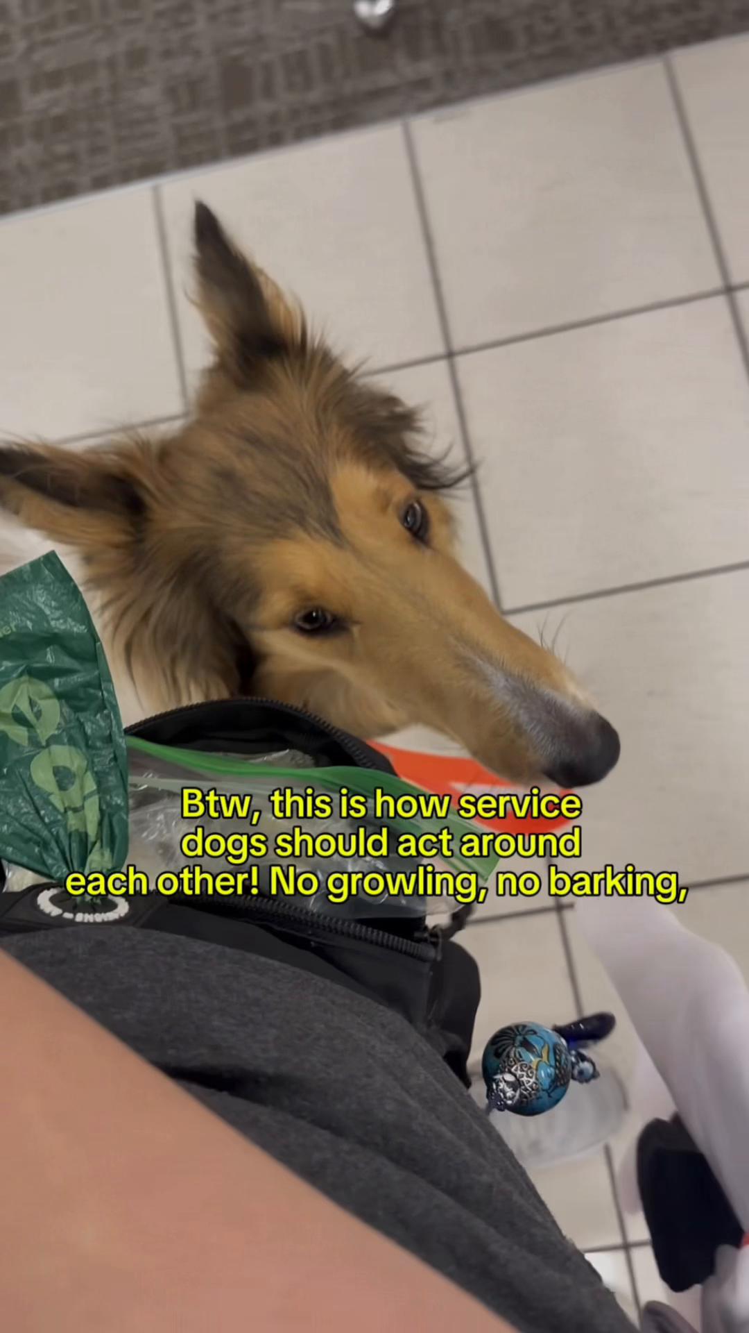 @liz and Alaska