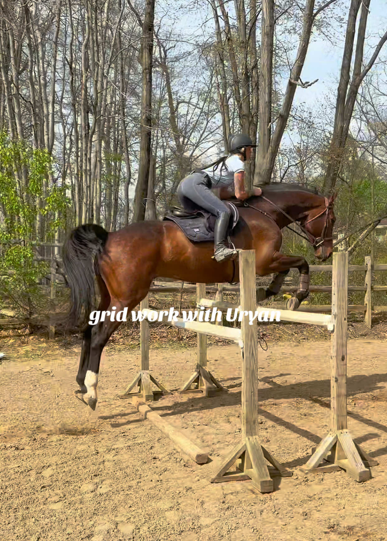 @Lunar Hill Equestrian