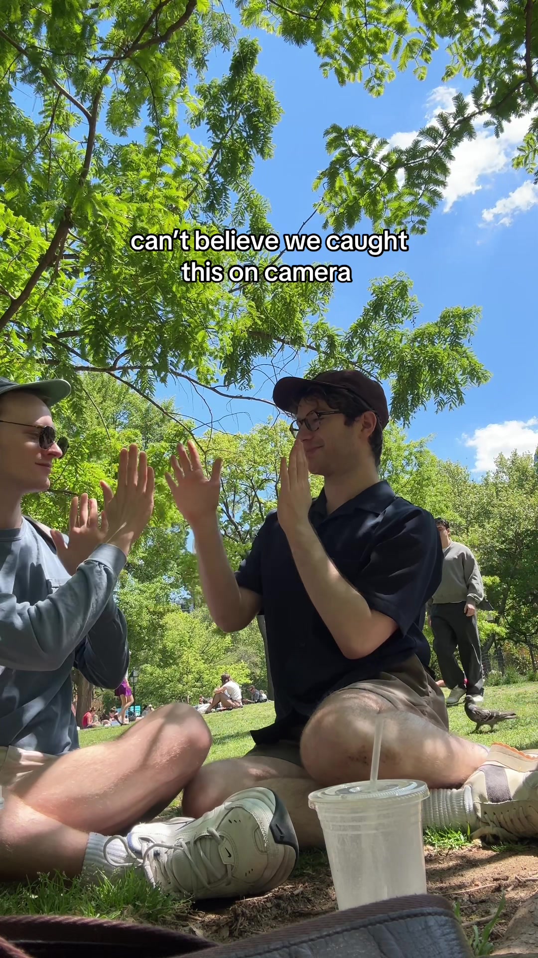 @joey morof