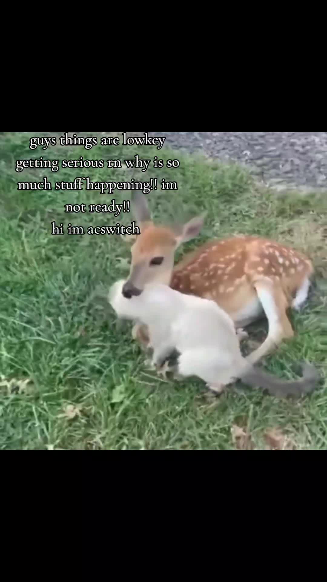 @Ali ๐พ๐ธ๏ธ