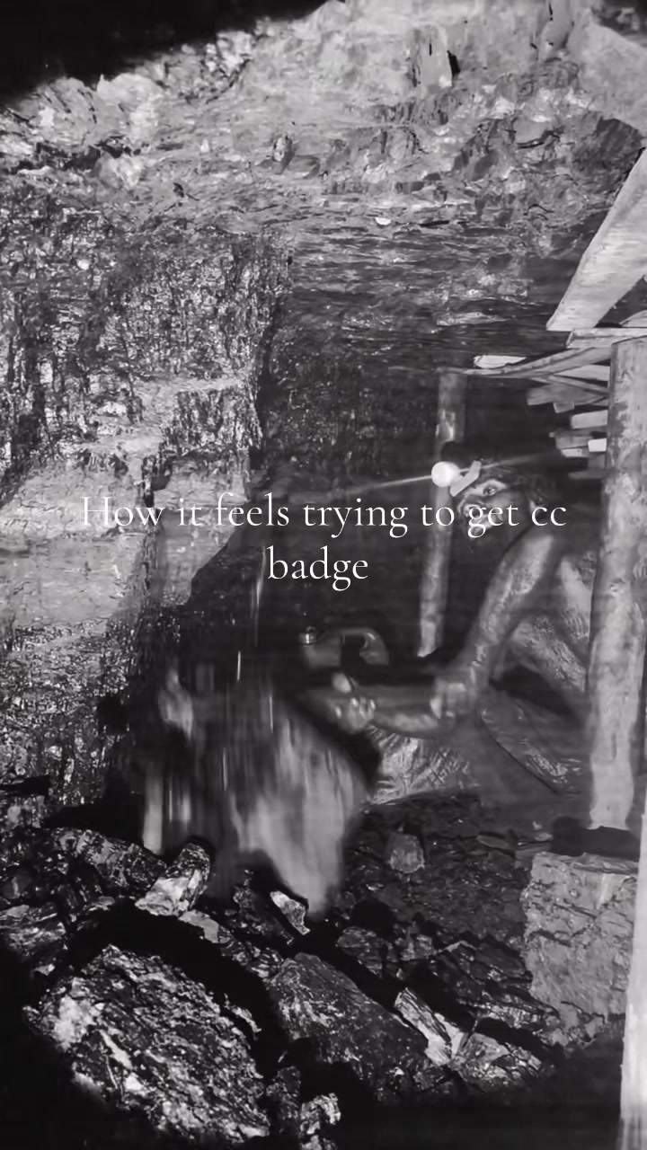 @dingleberrie_vrfs